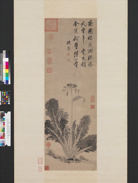 明沈周蔬菜　軸