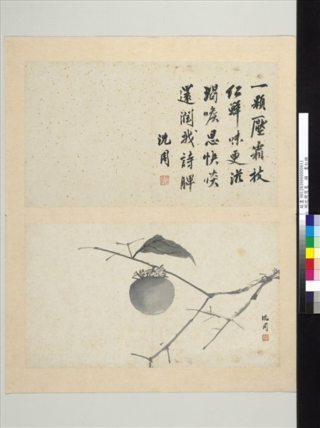 明沈周寫意　冊　畫紅柿