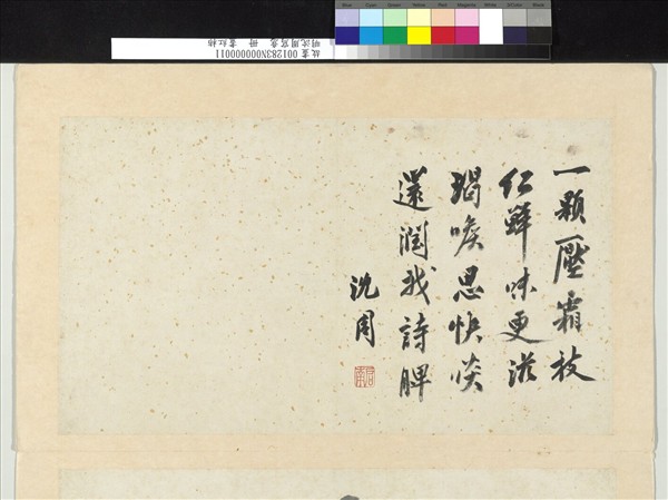 明沈周寫意　冊　畫紅柿