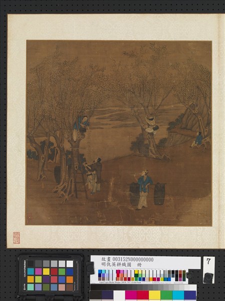 明仇英耕織圖　冊　採桑