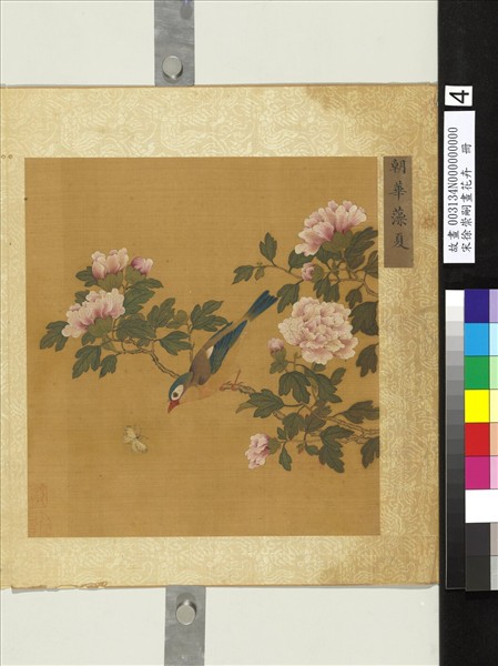 宋徐崇嗣畫花卉　冊　朝華藻夏