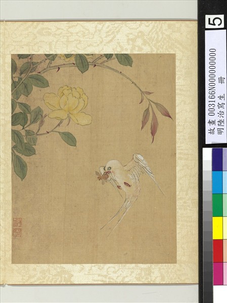 明陸治寫生　冊　薔薇燕子