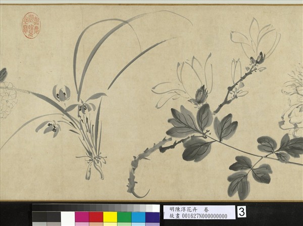 明陳淳花卉　卷