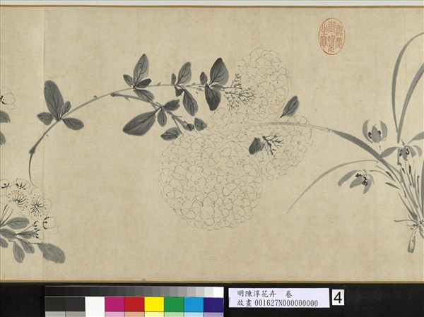 明陳淳花卉　卷