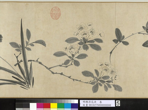 明陳淳花卉　卷