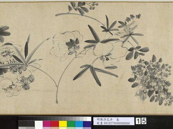 明陳淳花卉　卷