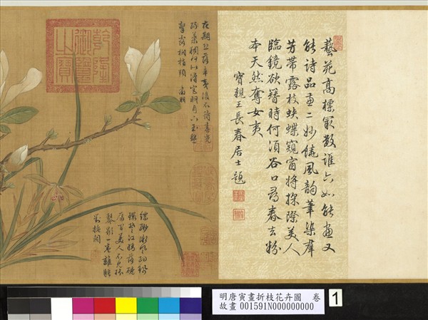明唐寅畫折枝花卉圖　卷