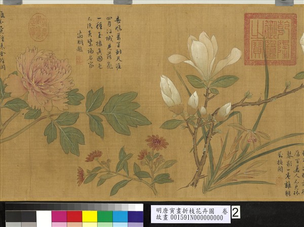 明唐寅畫折枝花卉圖　卷