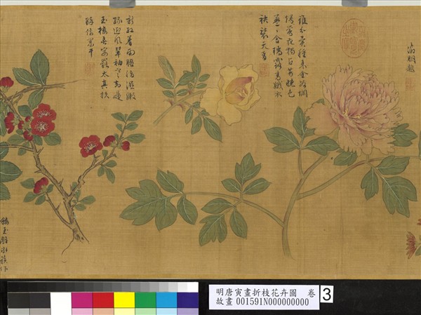 明唐寅畫折枝花卉圖　卷