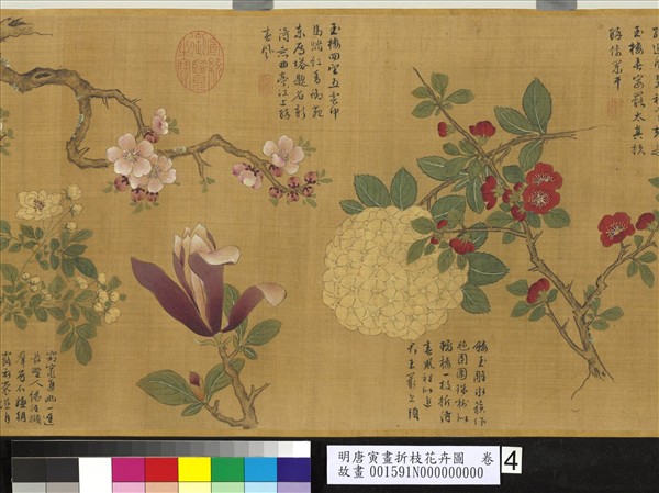 明唐寅畫折枝花卉圖　卷