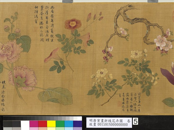 明唐寅畫折枝花卉圖　卷