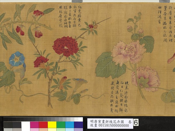 明唐寅畫折枝花卉圖　卷