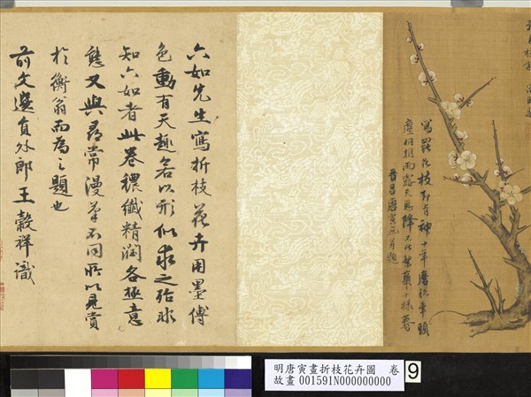 明唐寅畫折枝花卉圖　卷
