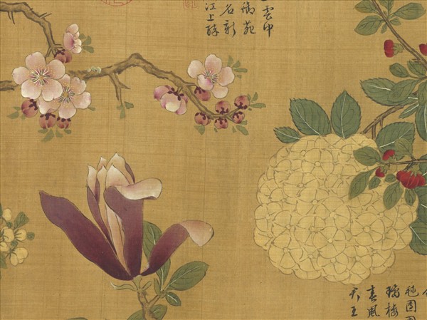 明唐寅畫折枝花卉圖　卷