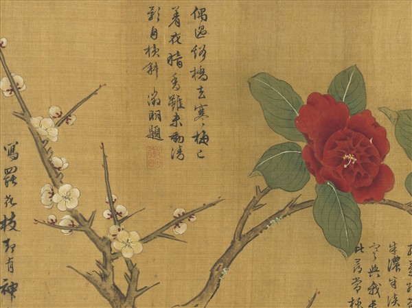 明唐寅畫折枝花卉圖　卷