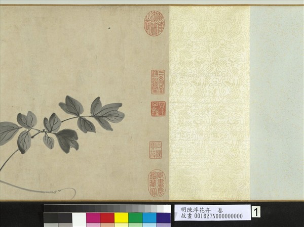 明陳淳花卉　卷