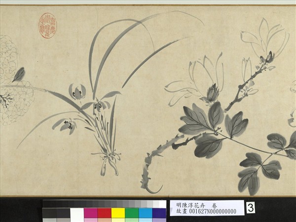 明陳淳花卉　卷