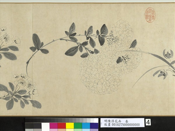 明陳淳花卉　卷