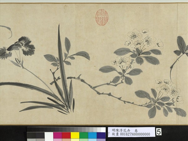 明陳淳花卉　卷