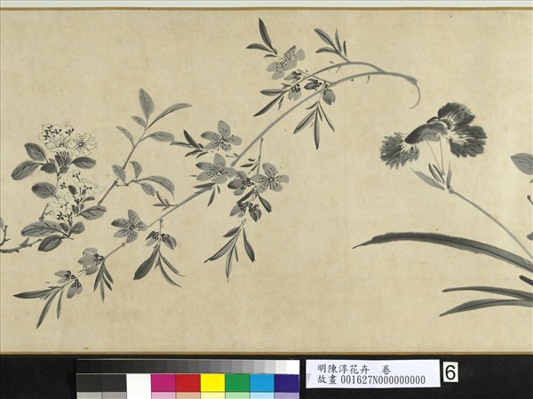 明陳淳花卉　卷