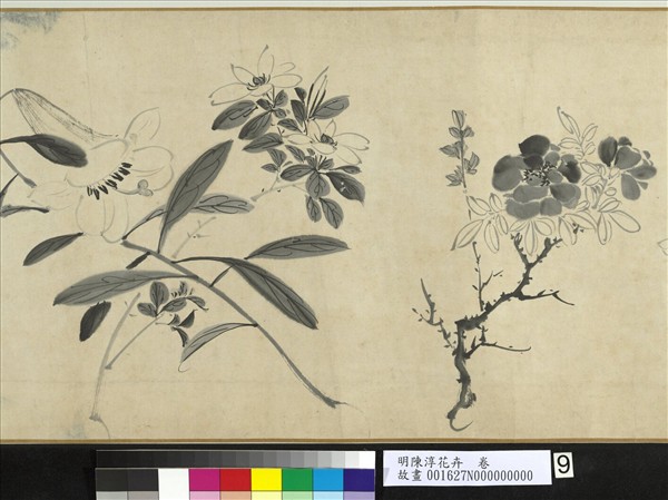 明陳淳花卉　卷