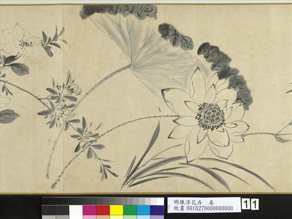 明陳淳花卉　卷