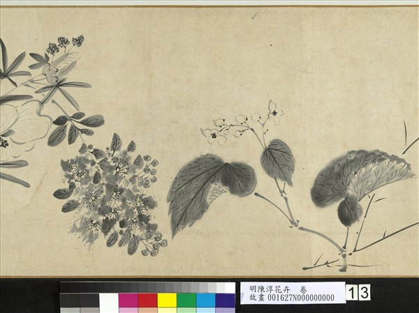 明陳淳花卉　卷
