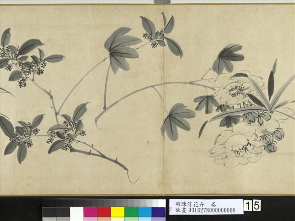 明陳淳花卉　卷