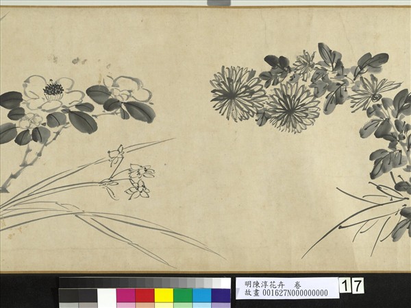明陳淳花卉　卷