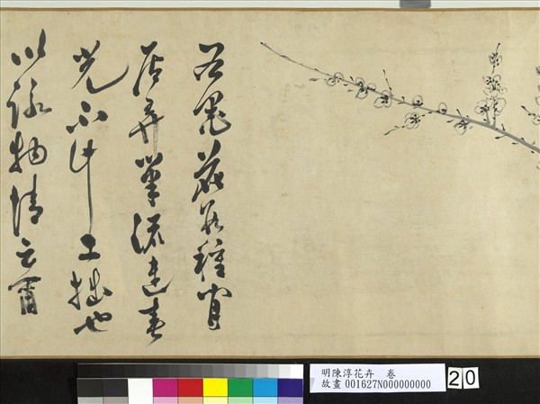 明陳淳花卉　卷