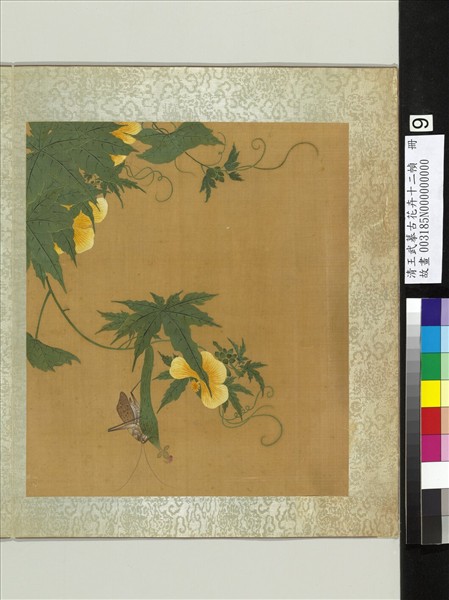 清王武摹古花卉十二幀　冊　絲瓜絡緯