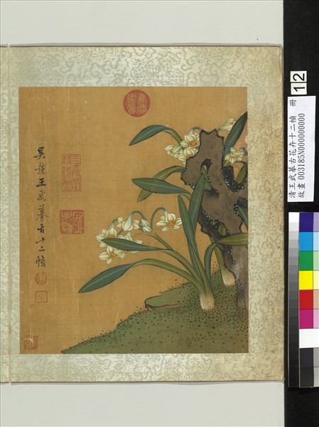 清王武摹古花卉十二幀　冊　水仙文石