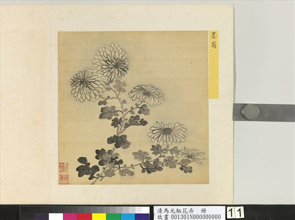 清馬元馭花卉　冊　墨菊