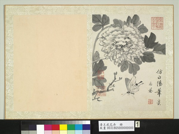 清王武花卉　冊　墨畫牡丹
