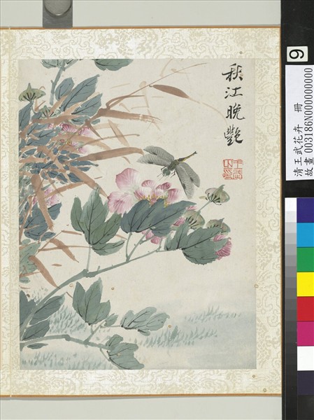 清王武花卉　冊　芙蓉花