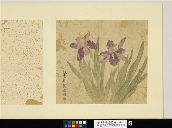 清惲壽平畫花卉　冊　鳶尾