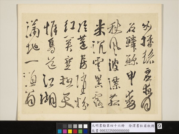 元明書翰第四十六冊　冊　徐渭書杜甫秋興八首