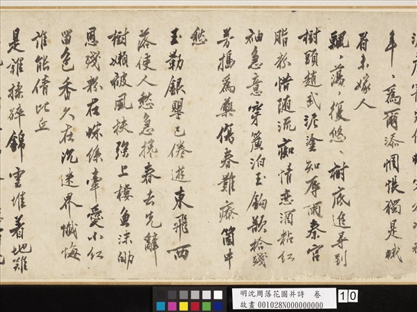 明沈周落花圖并詩　卷