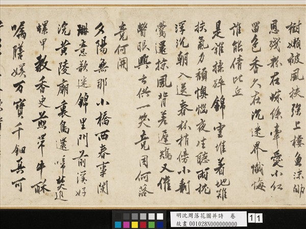 明沈周落花圖并詩　卷