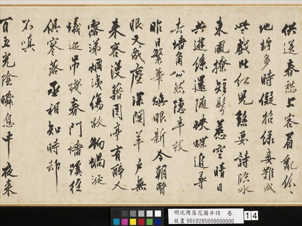 明沈周落花圖并詩　卷