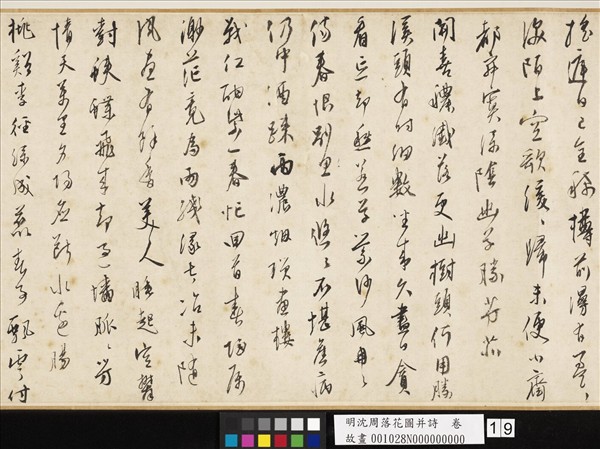 明沈周落花圖并詩　卷