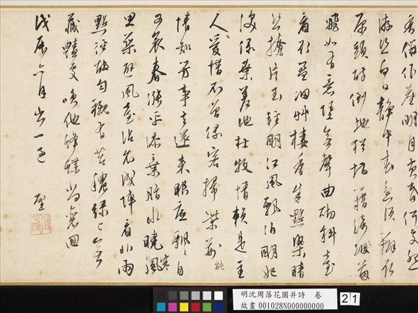 明沈周落花圖并詩　卷